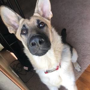 Meet your Posher, Richard